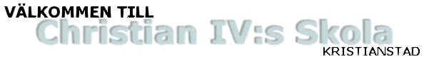 Valko.gif (9632 bytes)
